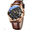 OLEVS Luxury Waterproof Quartz Watch for Men with Luminous Features
